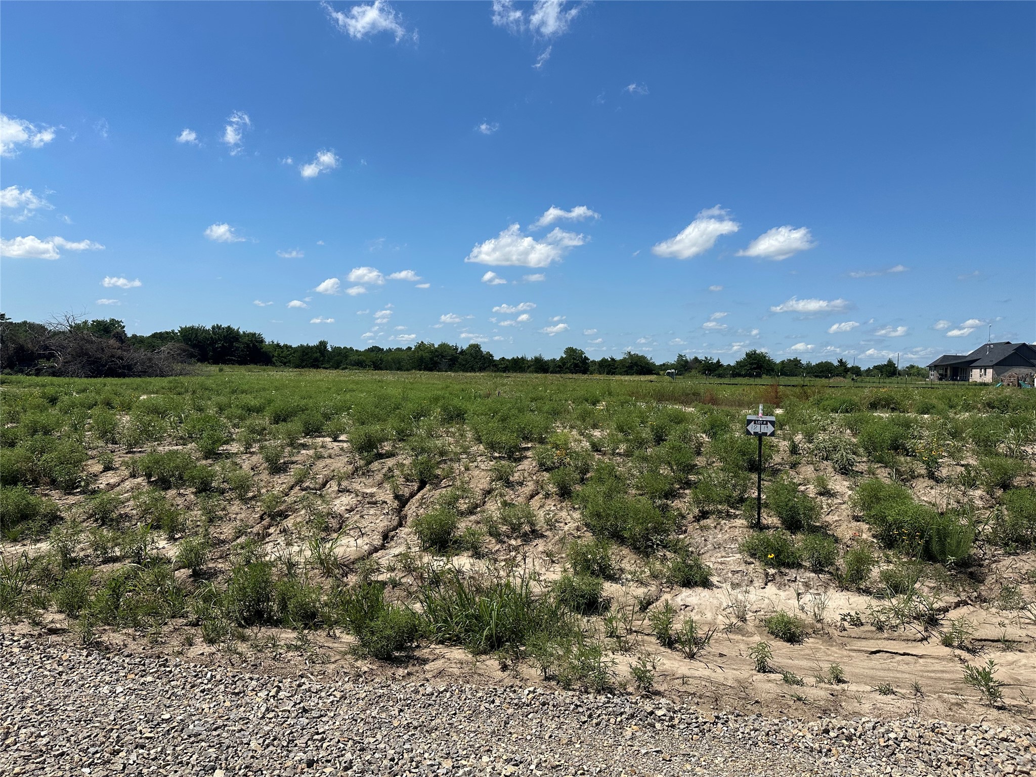 Lot 1 County Road 1110 Farmersville TX 75442