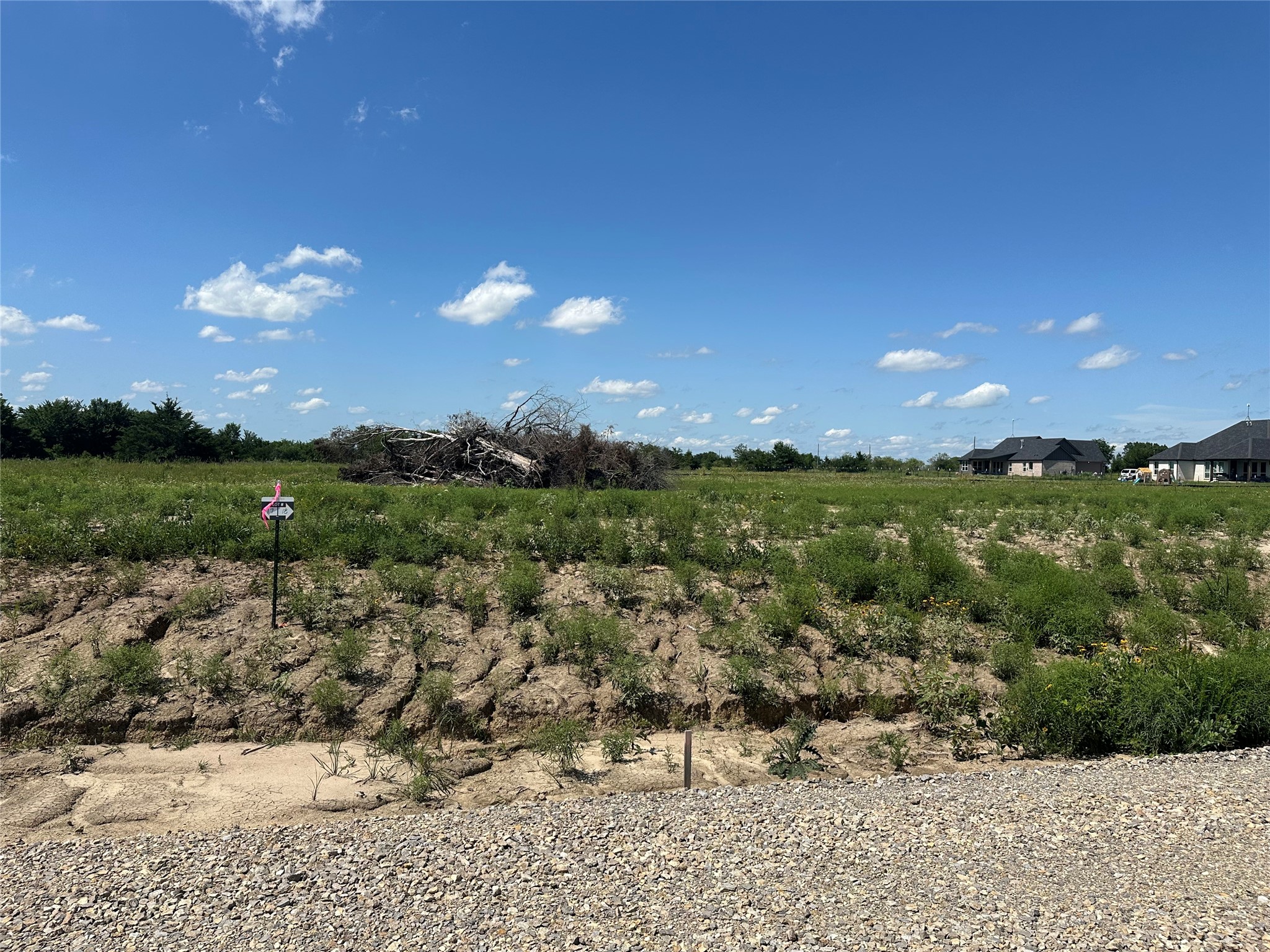 Lot 1 County Road 1110 Farmersville TX 75442