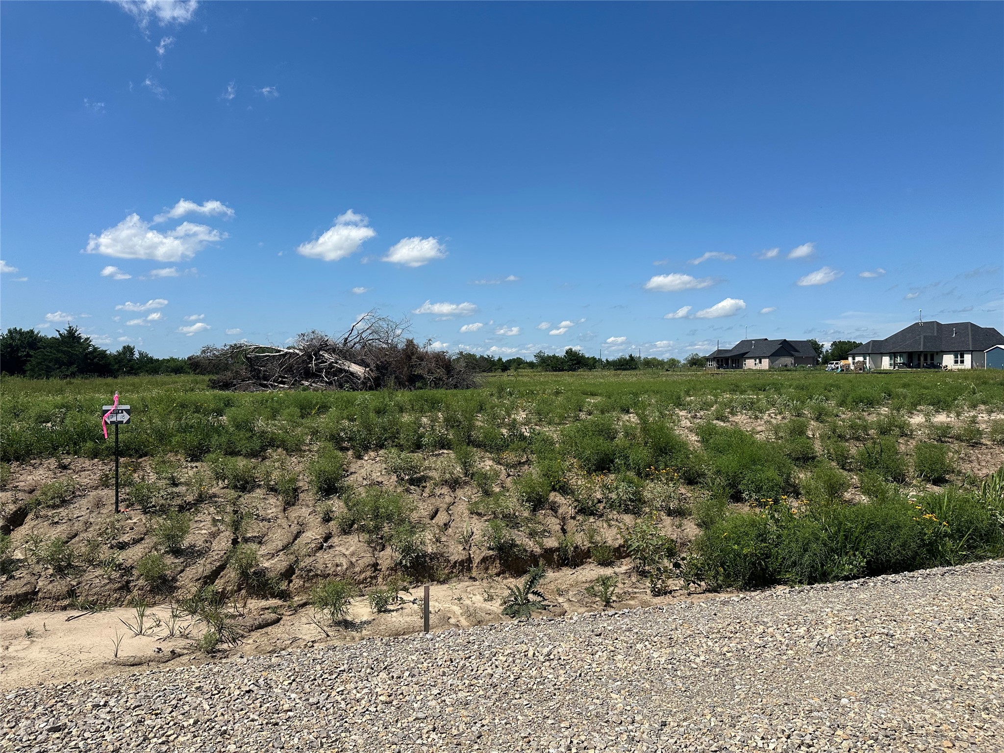Lot 1 County Road 1110 Farmersville TX 75442