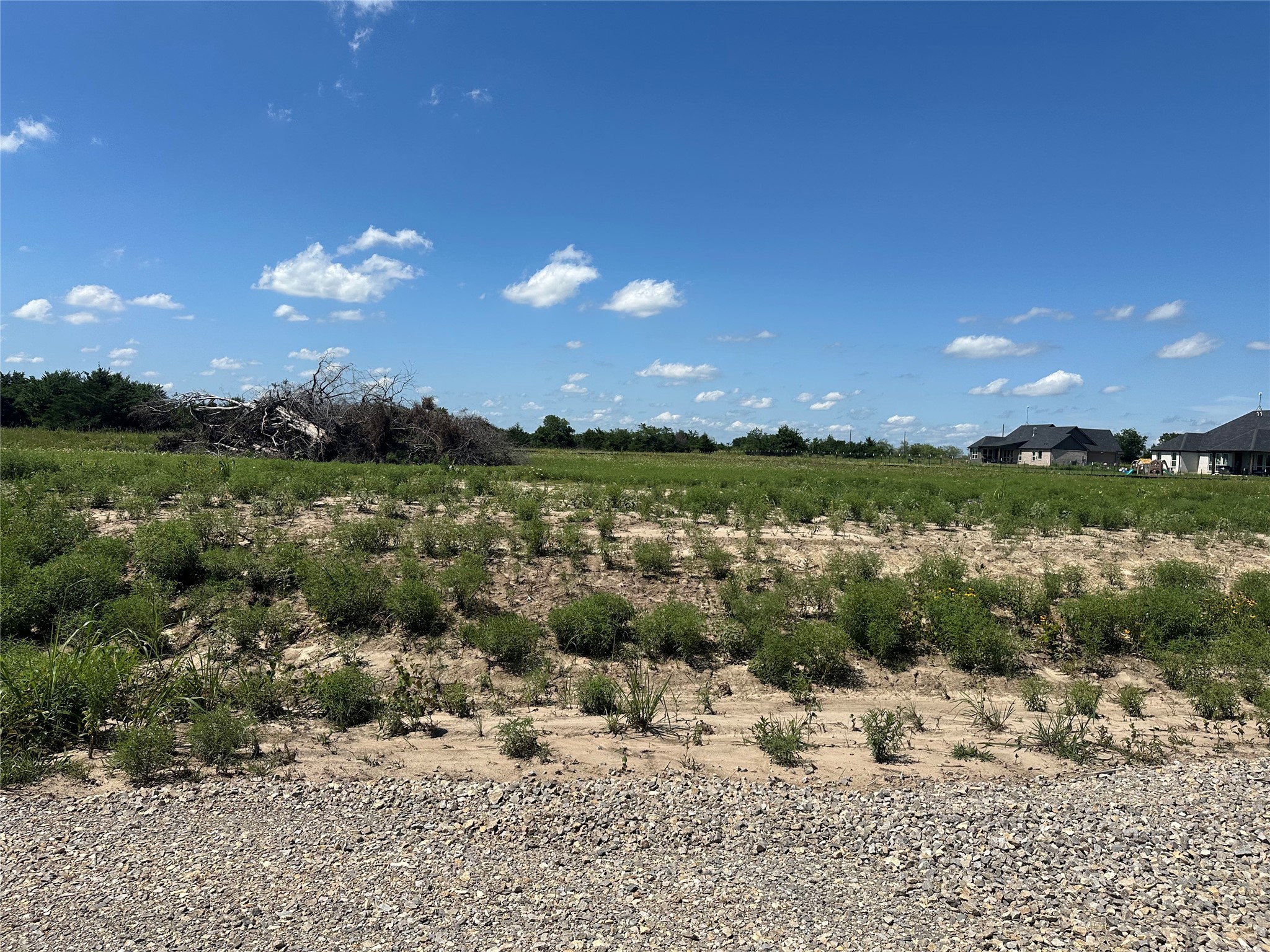 Lot 1 County Road 1110 Farmersville TX 75442