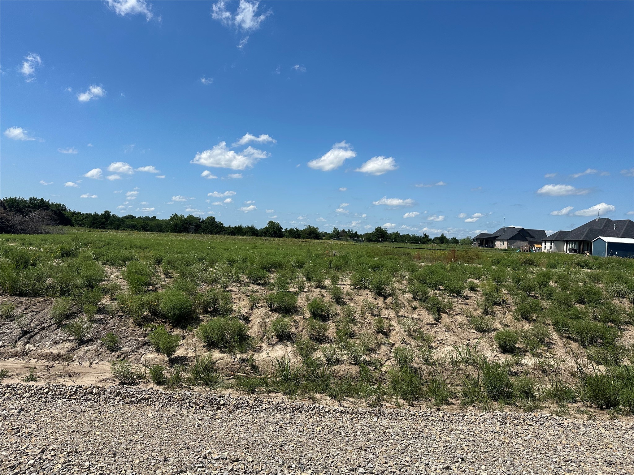 Lot 1 County Road 1110 Farmersville TX 75442