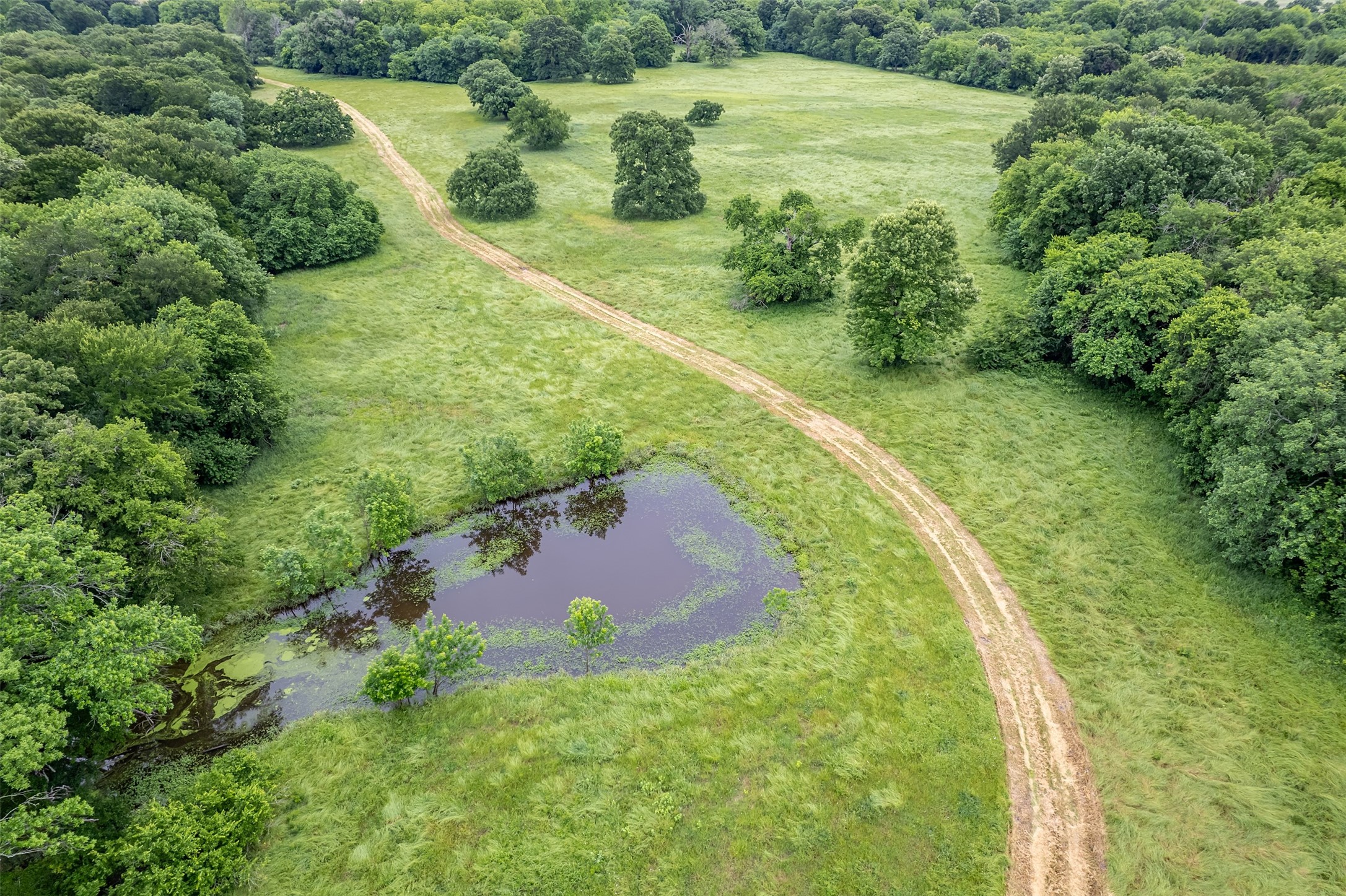 5286 County Road 4502 Wolfe City TX 75496