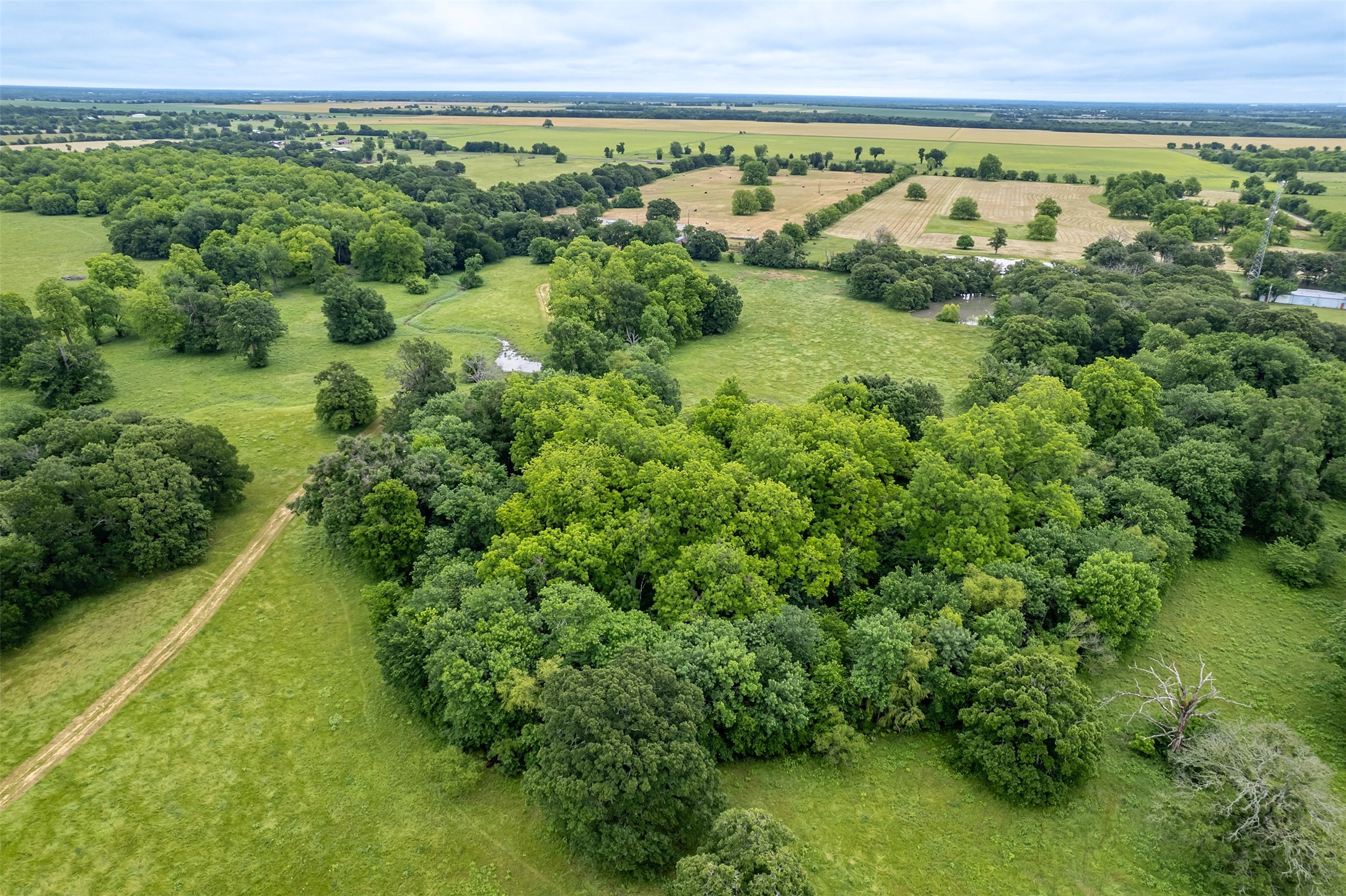 5286 County Road 4502 Wolfe City TX 75496