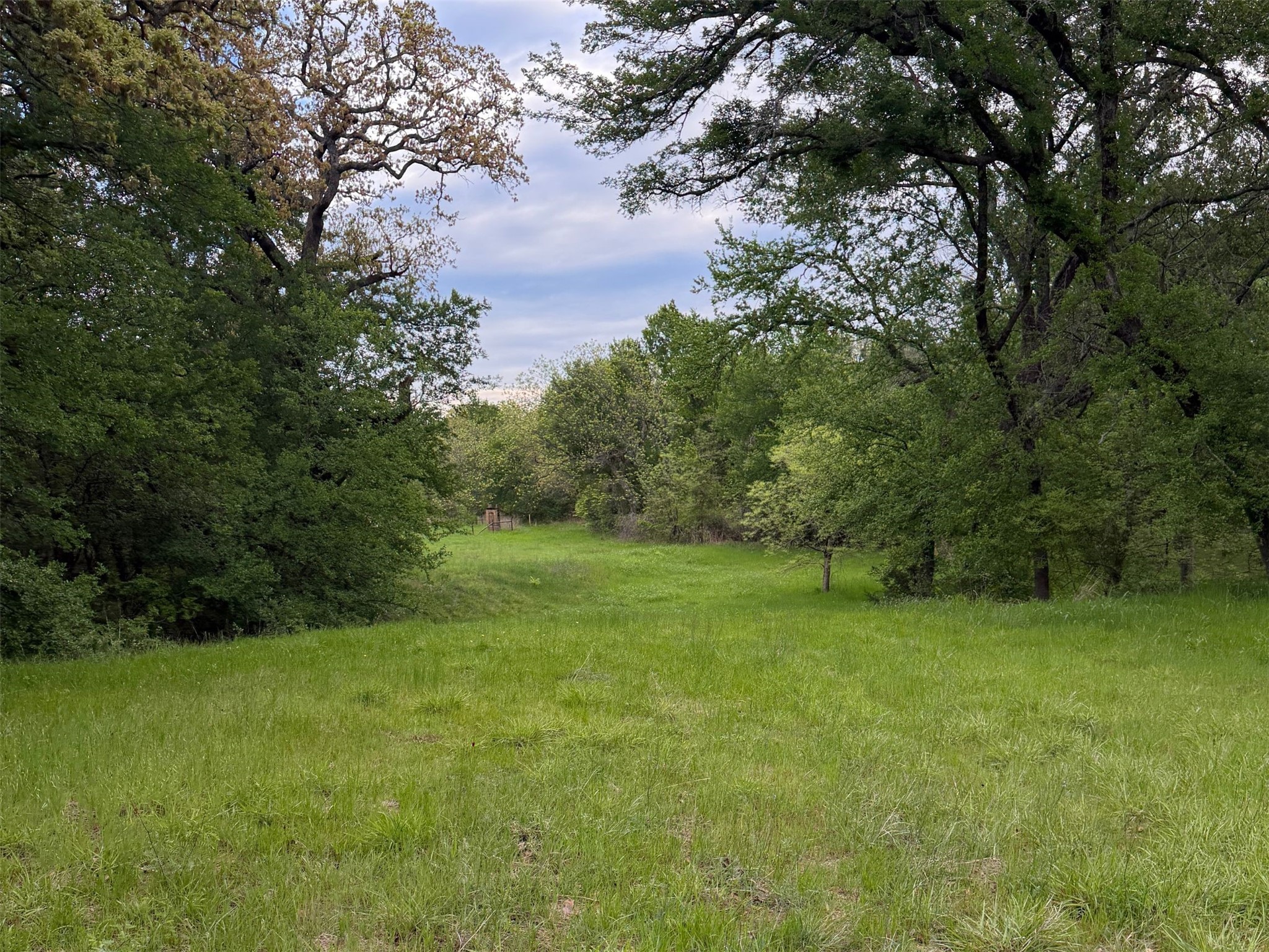 1576 Adell Circle Peaster TX 76088