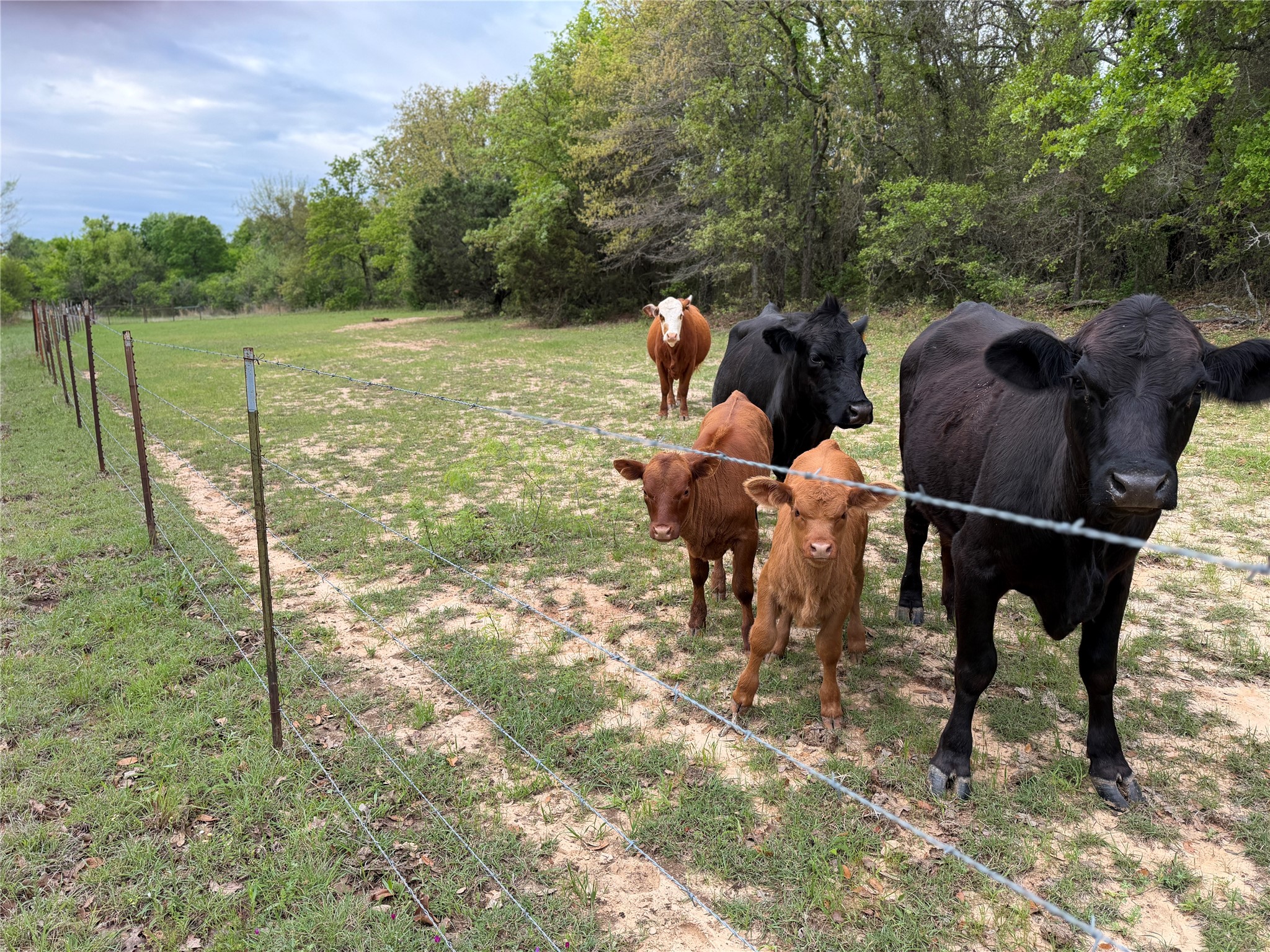 1576 Adell Circle Peaster TX 76088