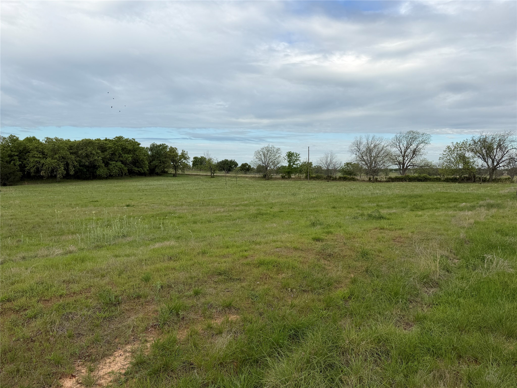1576 Adell Circle Peaster TX 76088