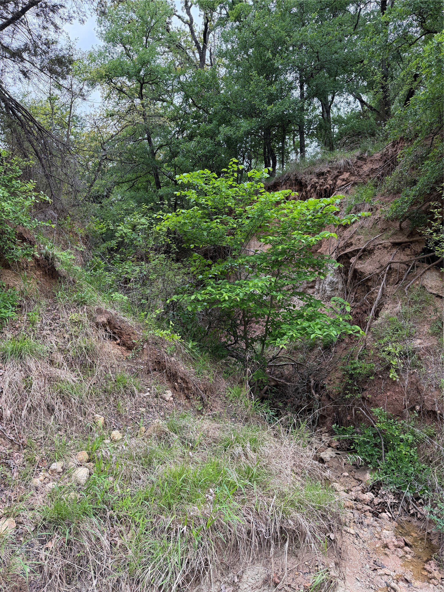 1576 Adell Circle Peaster TX 76088
