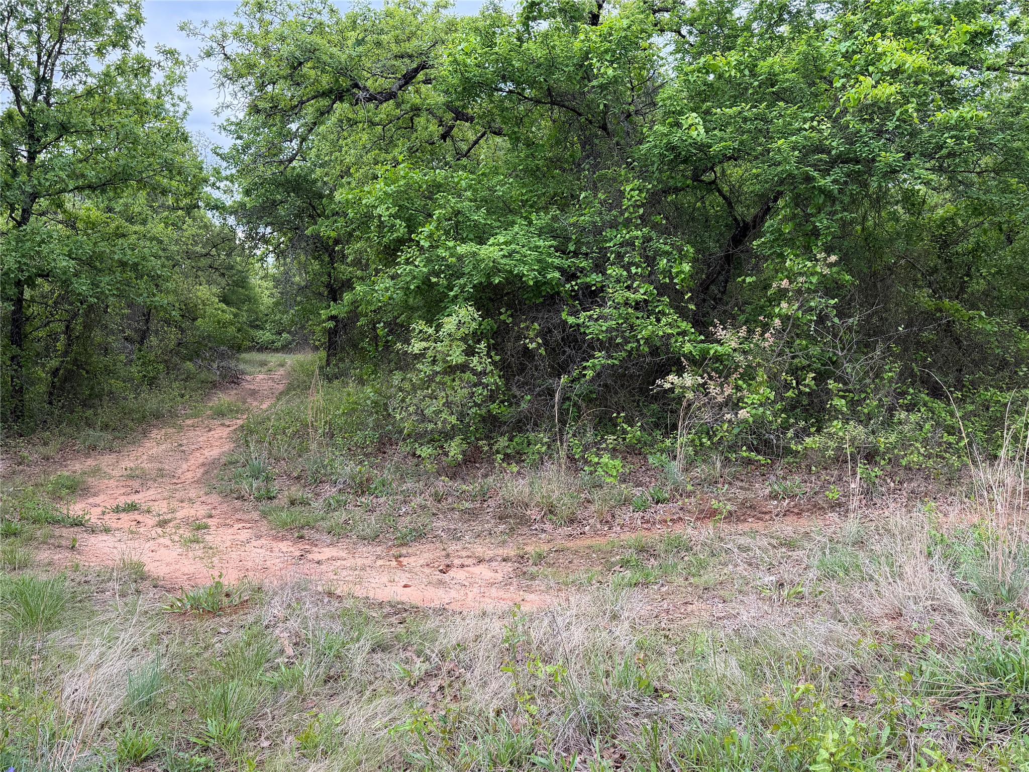 1576 Adell Circle Peaster TX 76088