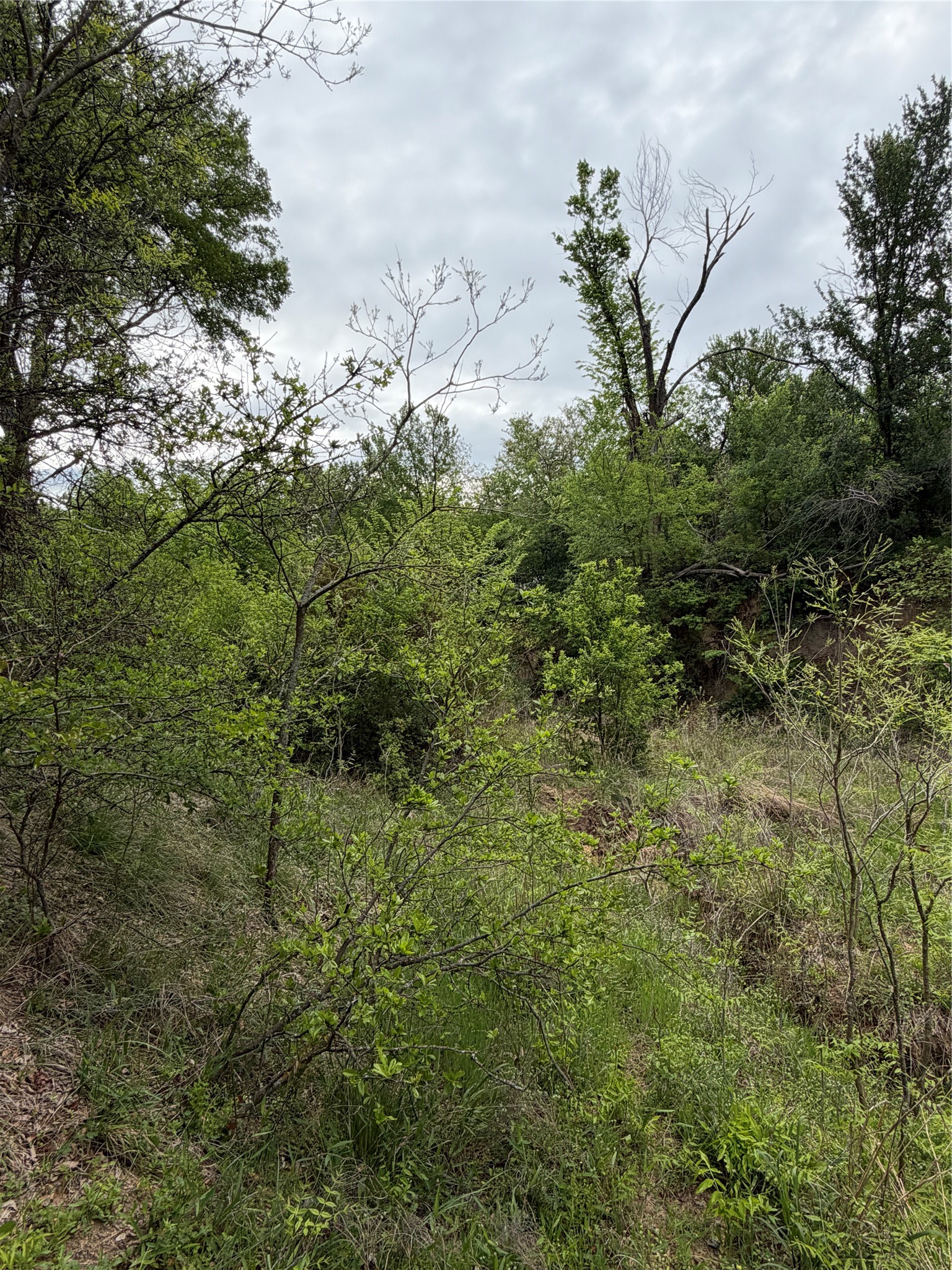 1576 Adell Circle Peaster TX 76088