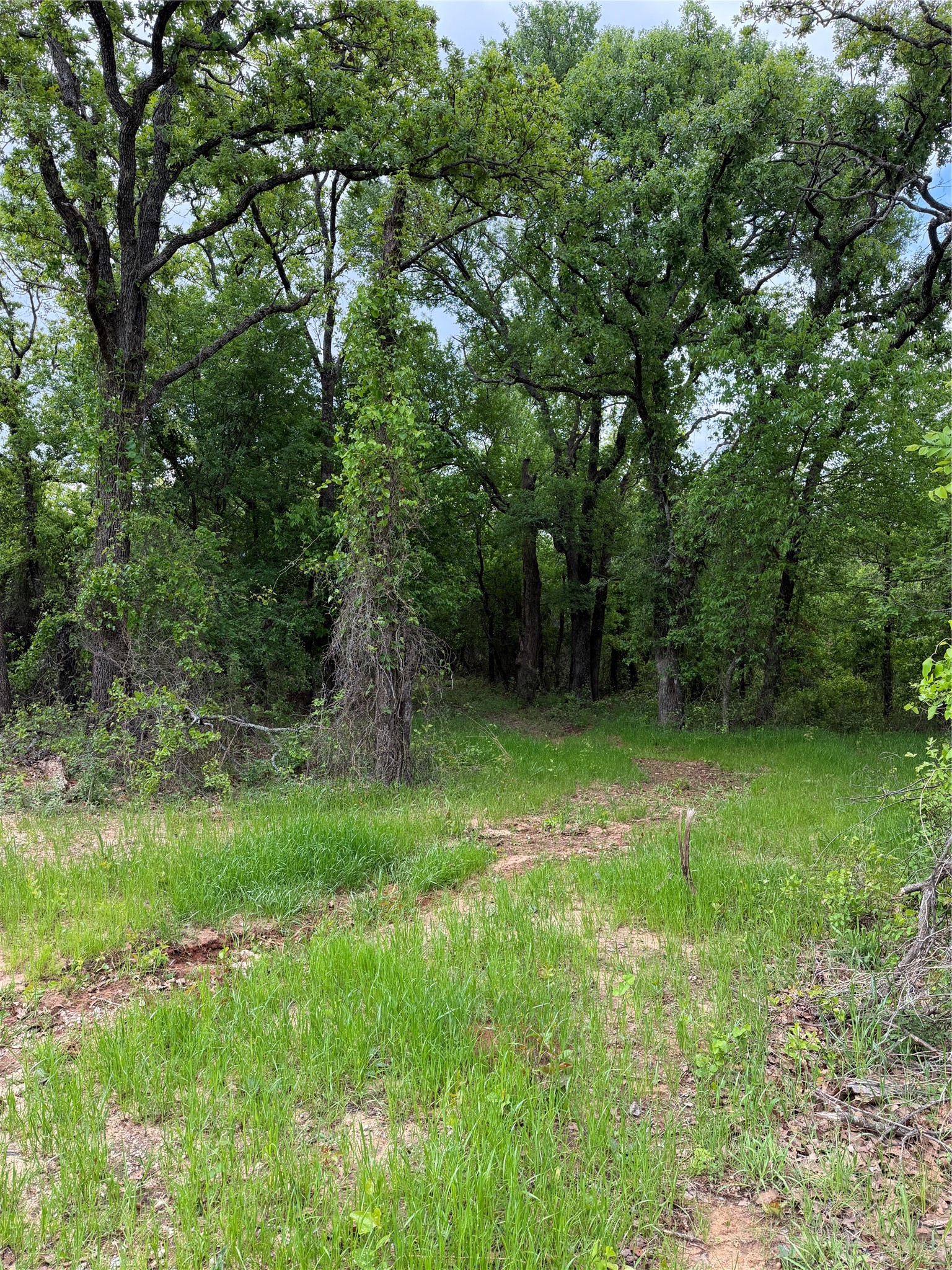 1576 Adell Circle Peaster TX 76088