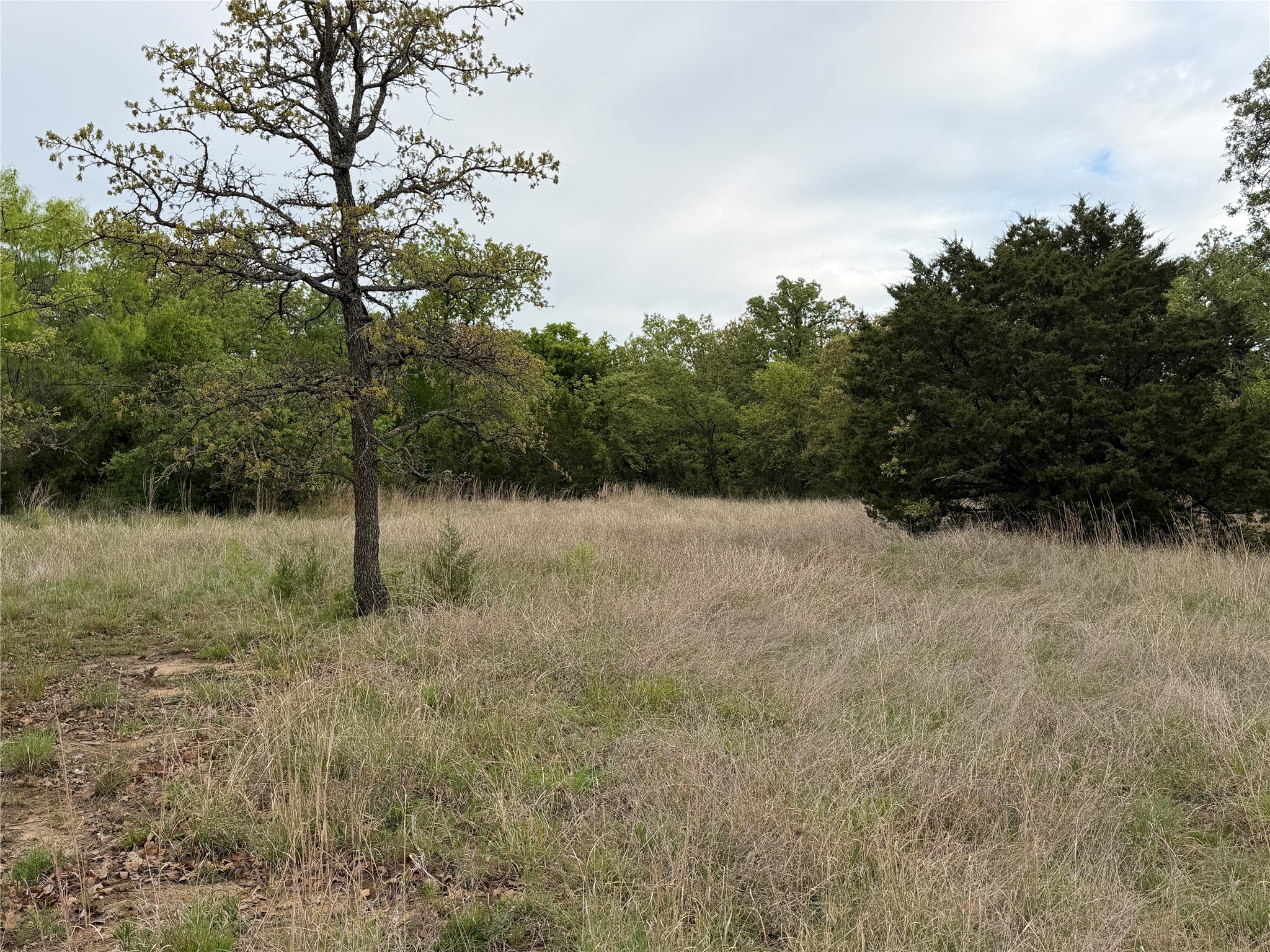 1576 Adell Circle Peaster TX 76088