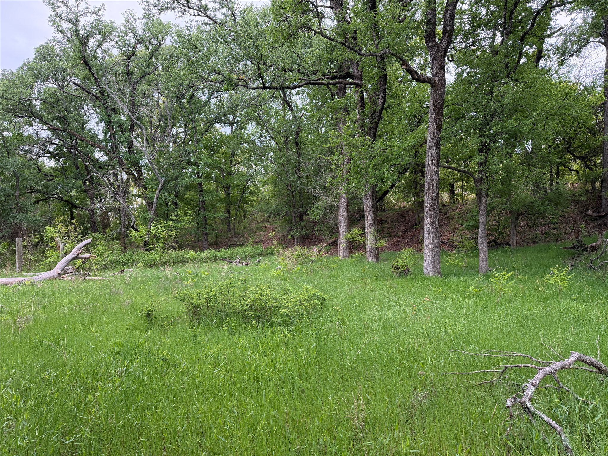 1576 Adell Circle Peaster TX 76088