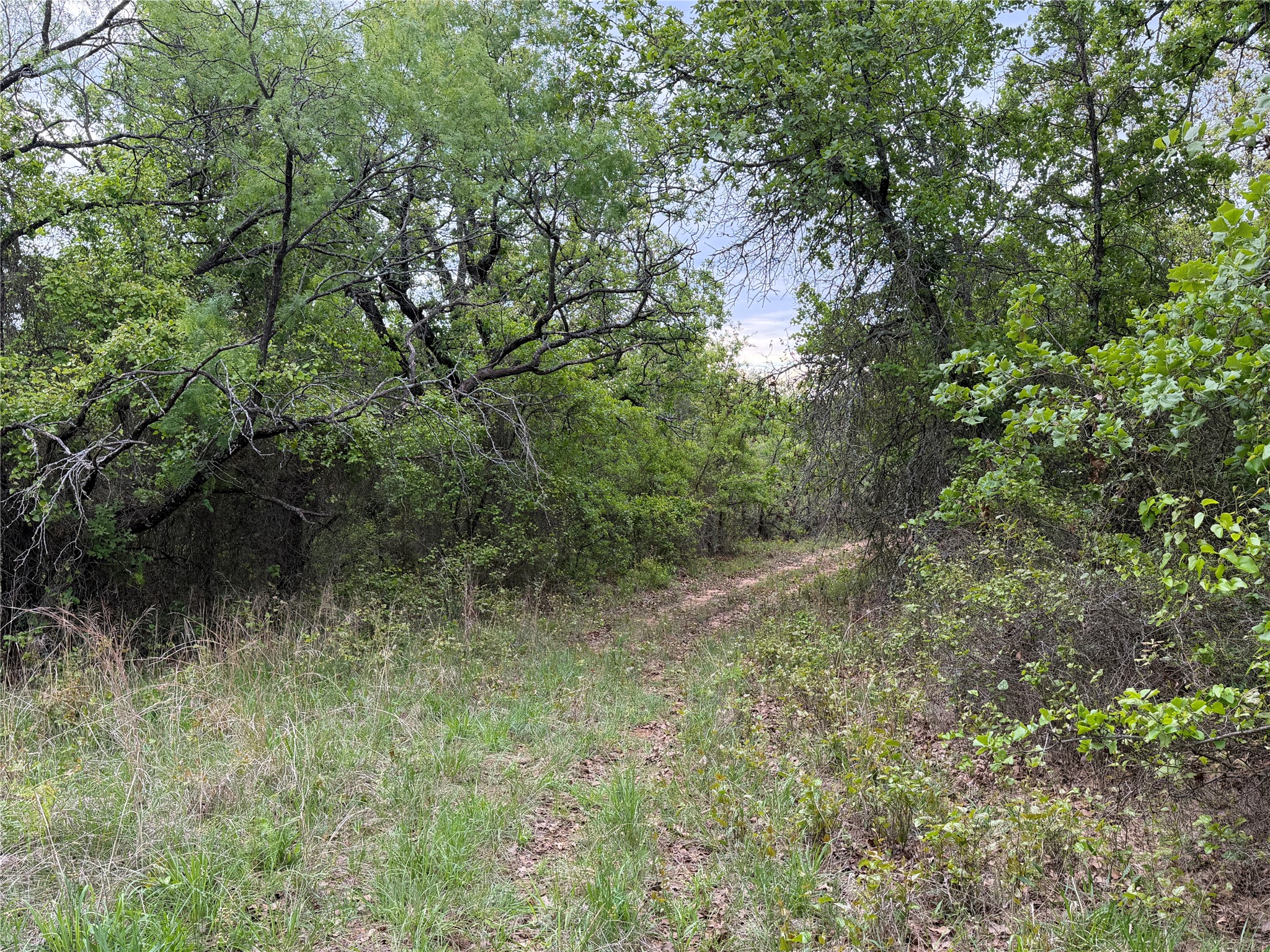 1576 Adell Circle Peaster TX 76088