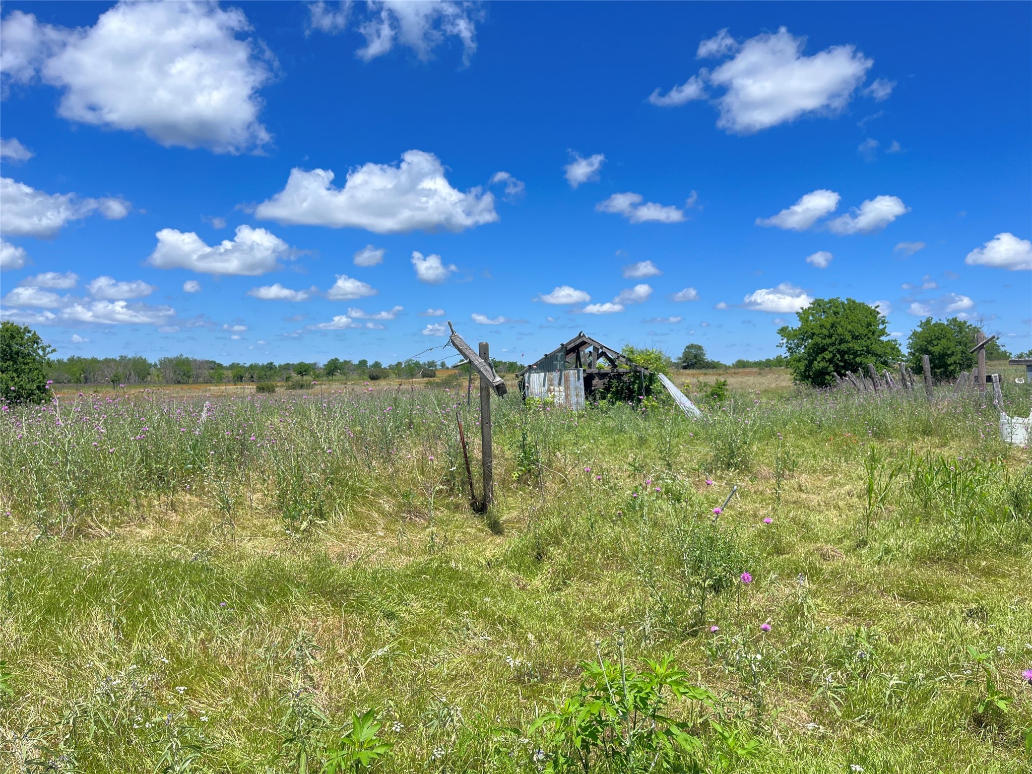 9947 State Highway 220 Hico TX 76457