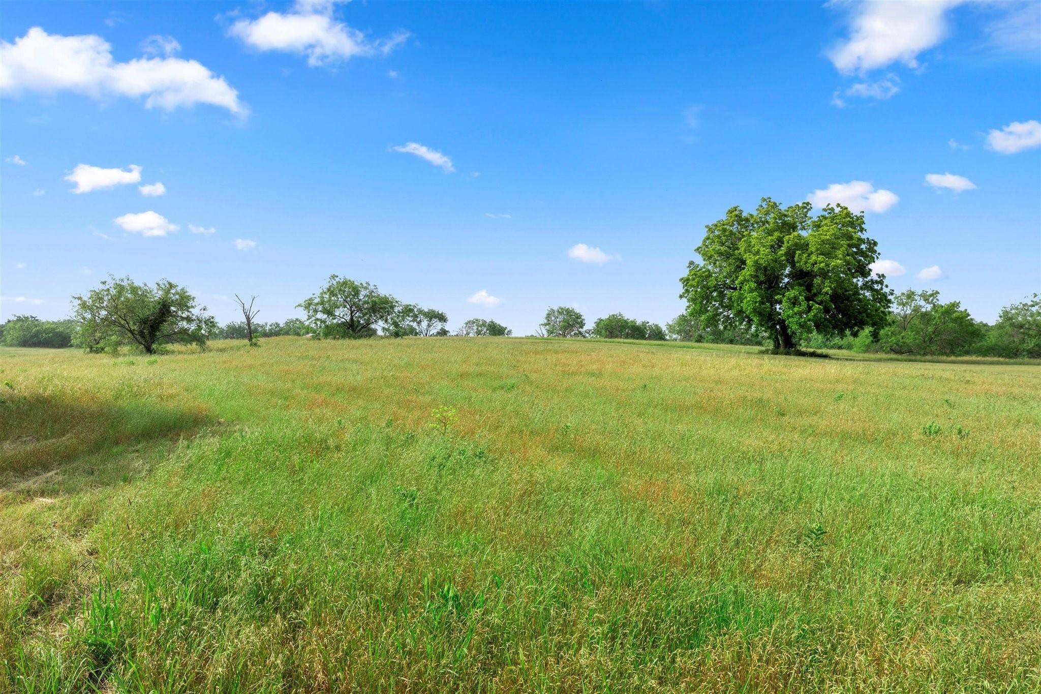 7049TBD Lake Vista Drive Streetman TX 75859