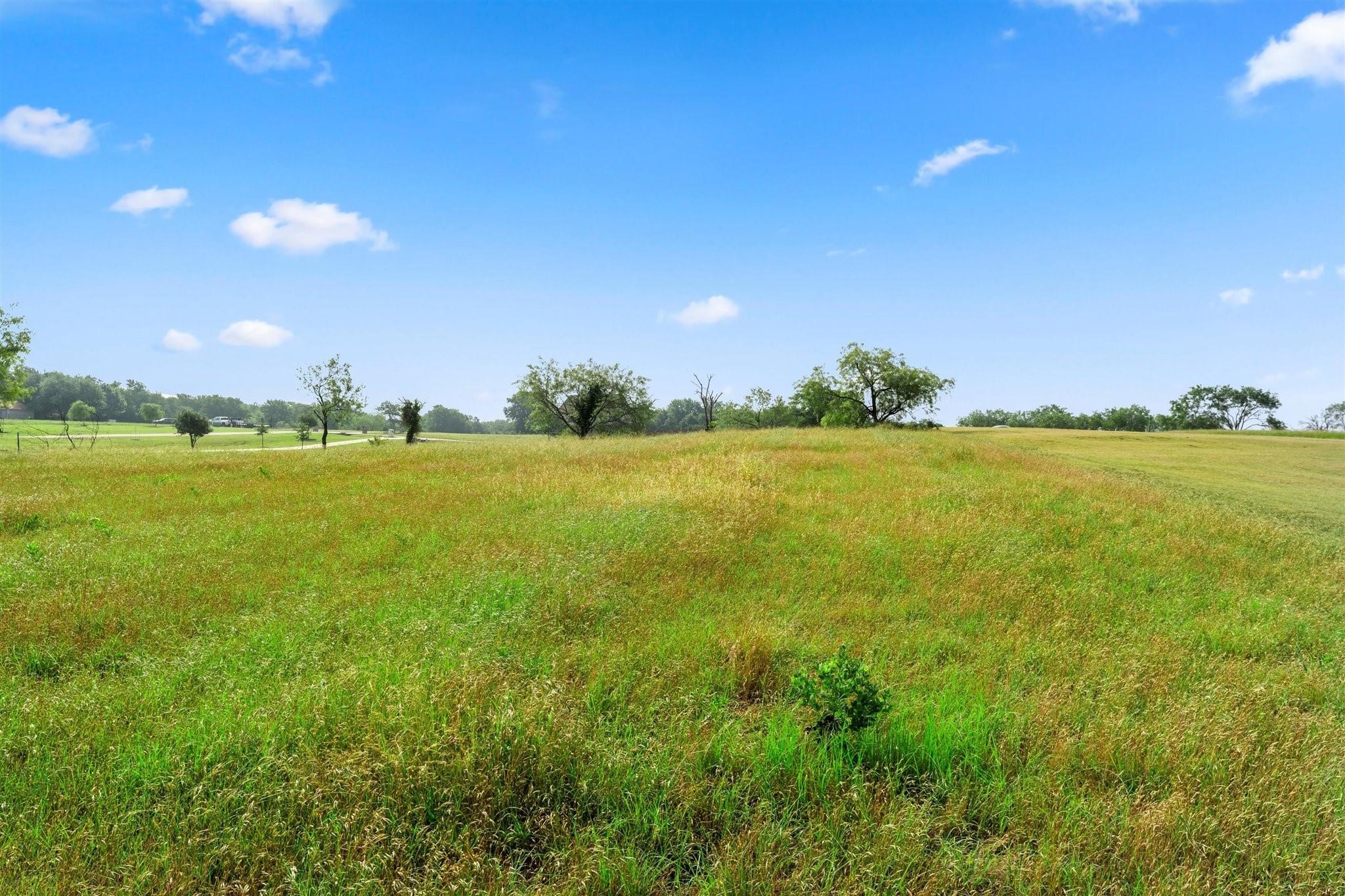 7049TBD Lake Vista Drive Streetman TX 75859