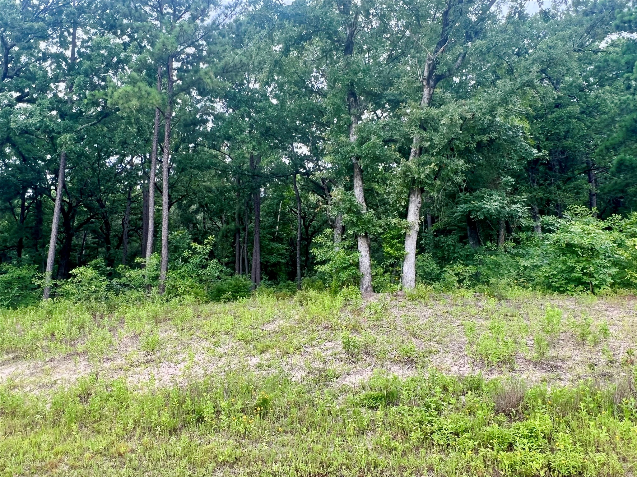 3289 Shadow Pine Drive Larue TX 75770