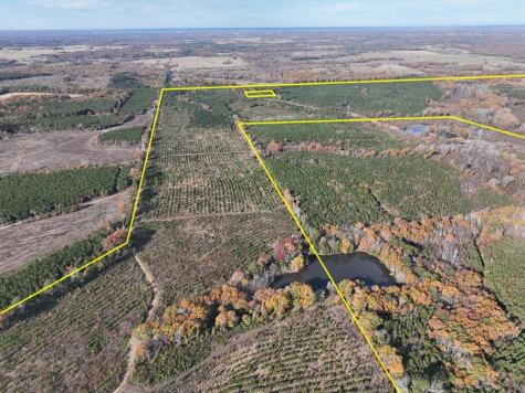 0 Cr 3201 Daingerfield TX 75638