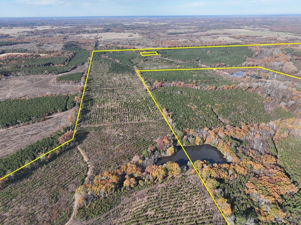 0 Cr 3201 Daingerfield TX 75638