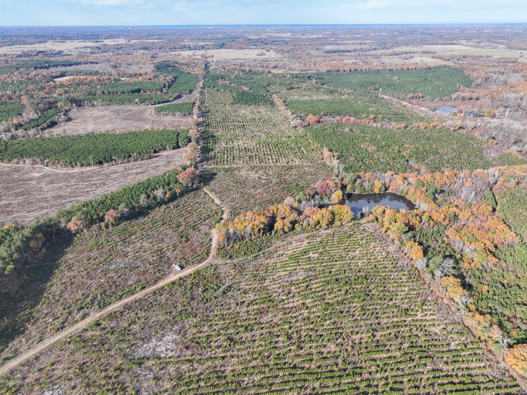 0 Cr 3201 Daingerfield TX 75638