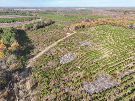 0 Cr 3201 Daingerfield TX 75638