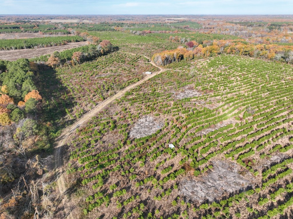 0 Cr 3201 Daingerfield TX 75638