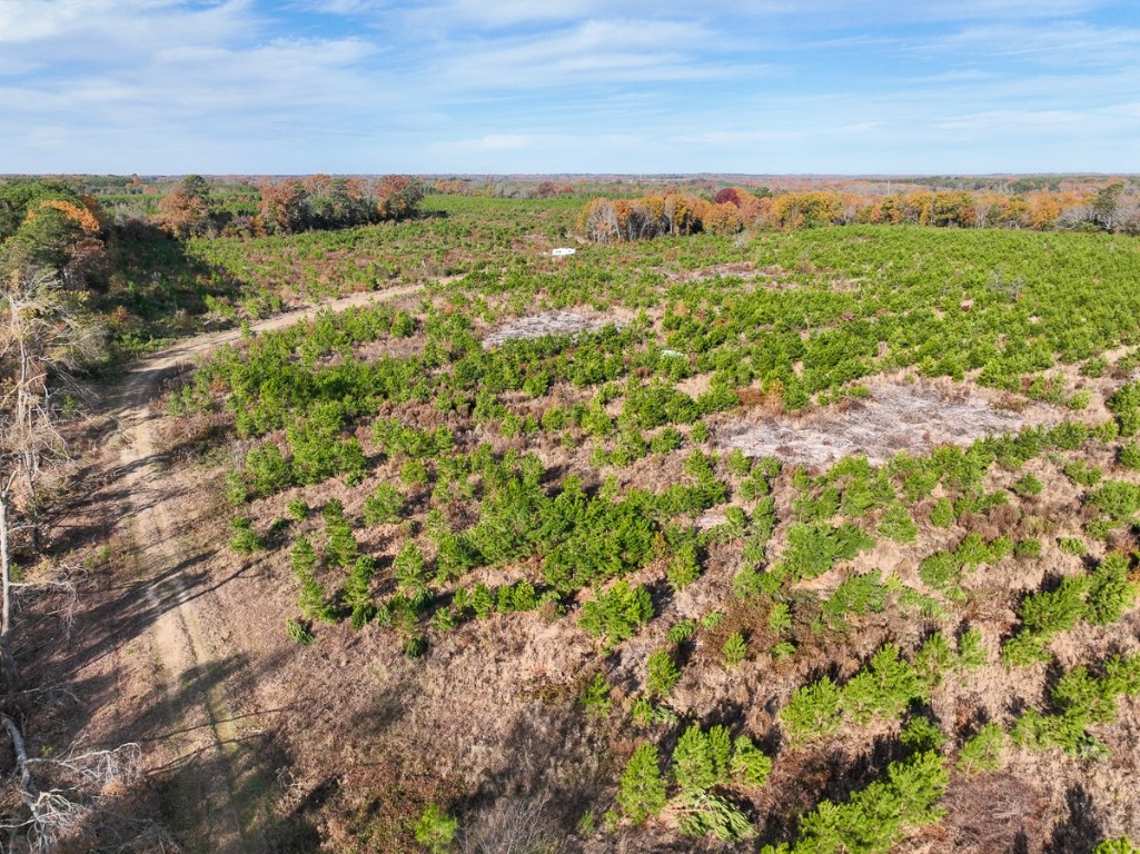 0 Cr 3201 Daingerfield TX 75638
