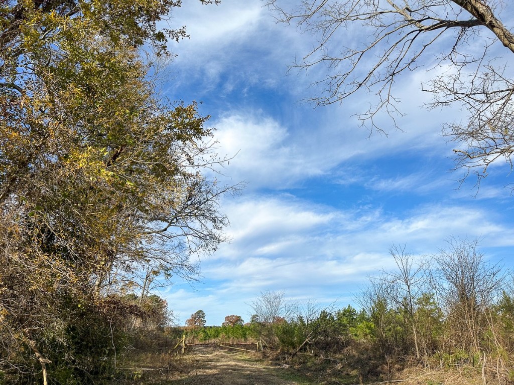 0 Cr 3201 Daingerfield TX 75638