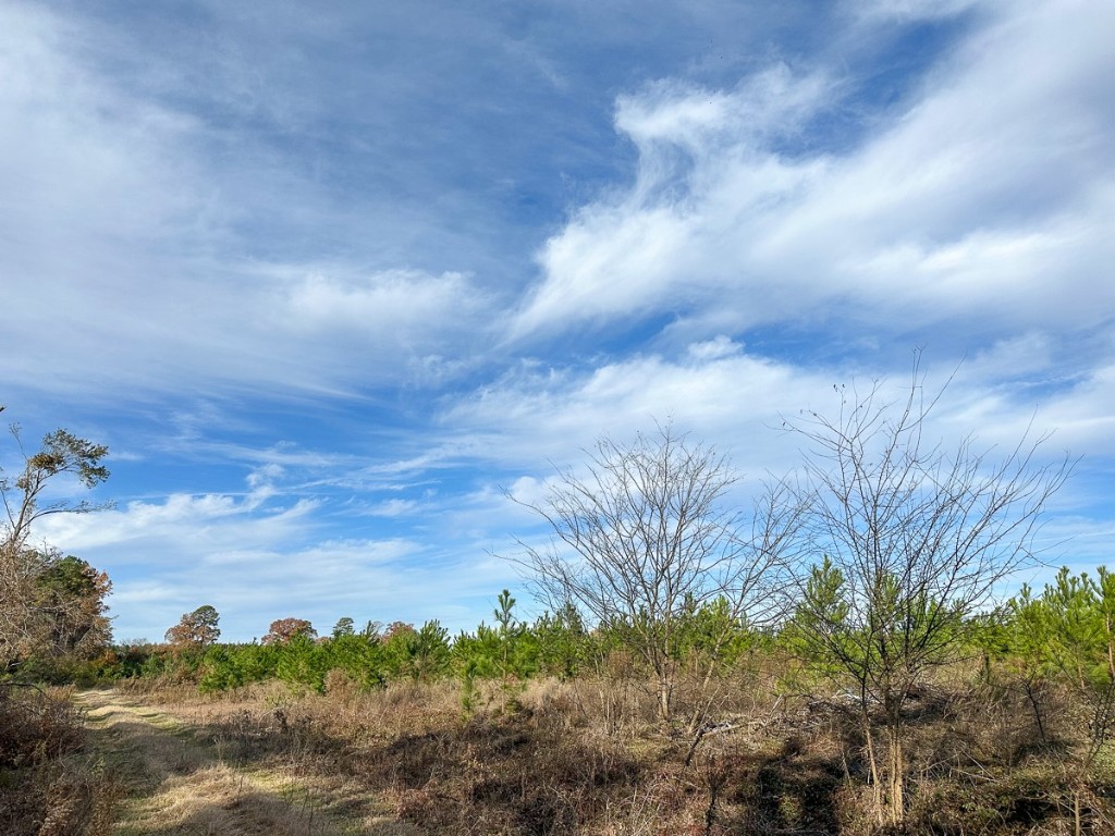 0 Cr 3201 Daingerfield TX 75638