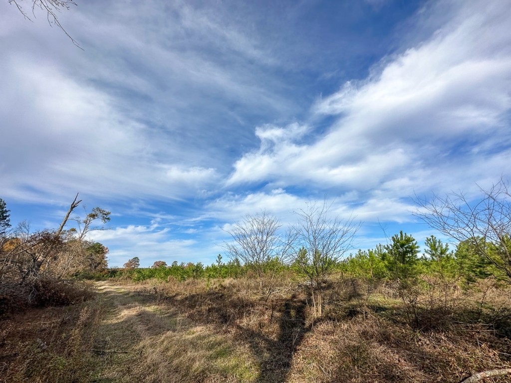 0 Cr 3201 Daingerfield TX 75638