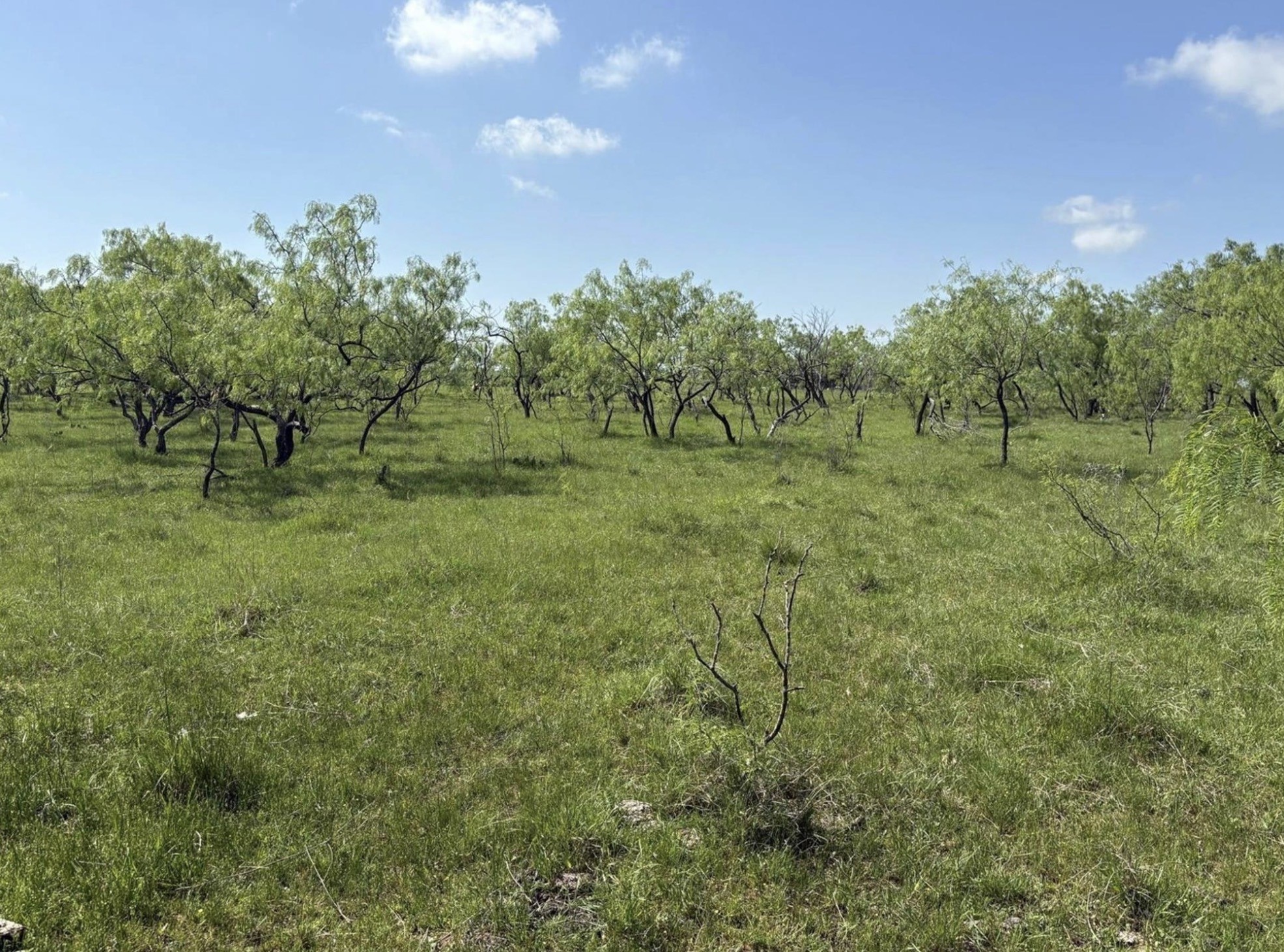 Tbd 00 County Road 4160 Frost TX 76641