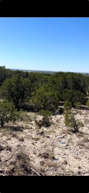 Tbd County Road 1191 Kopperl TX 76652