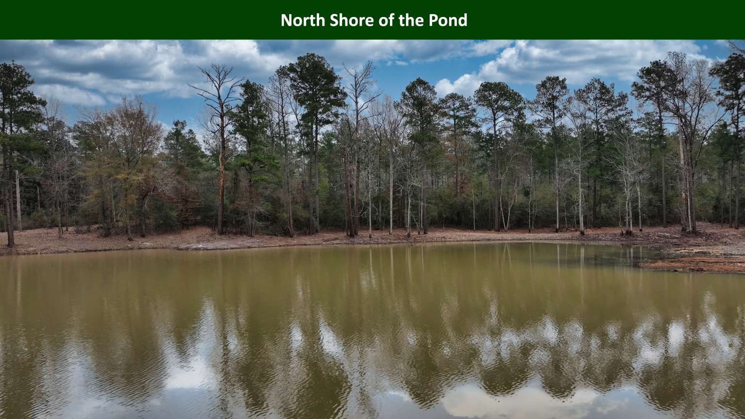 0 E Pr 6150 Woodville TX 75979