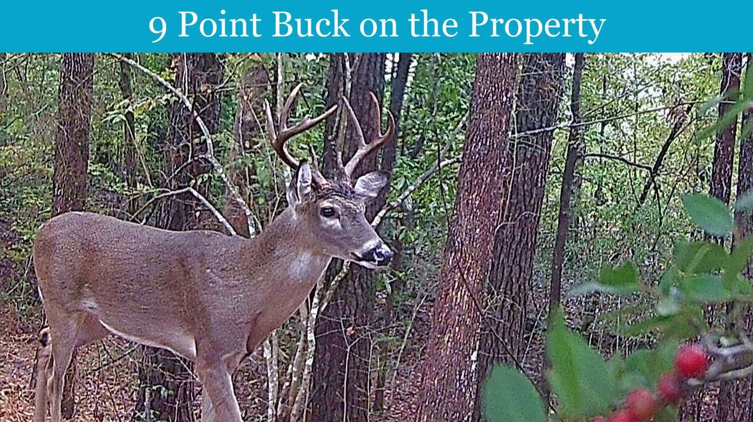 0 E Pr 6150 Woodville TX 75979