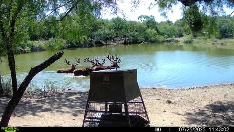 1797 Fm 1026 Coleman TX 76834