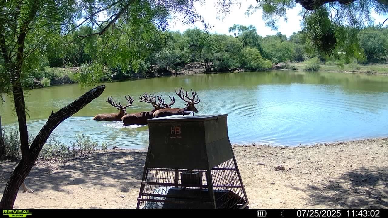 1797 Fm 1026 Coleman TX 76834