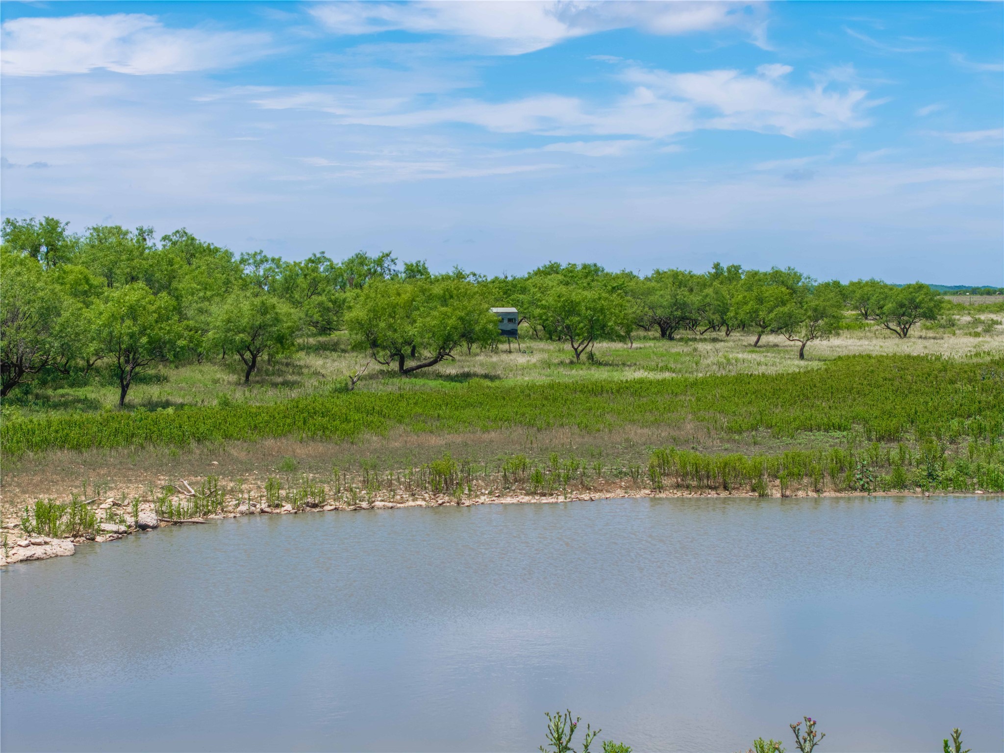 1797 Fm 1026 Coleman TX 76834