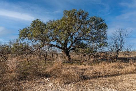 371 Axis Court Melvin TX 76858