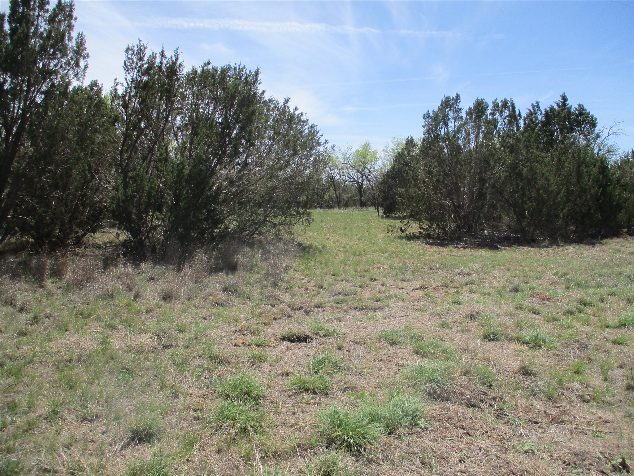 Tbd Fm 1086 Fm 1086 No City TX 75966