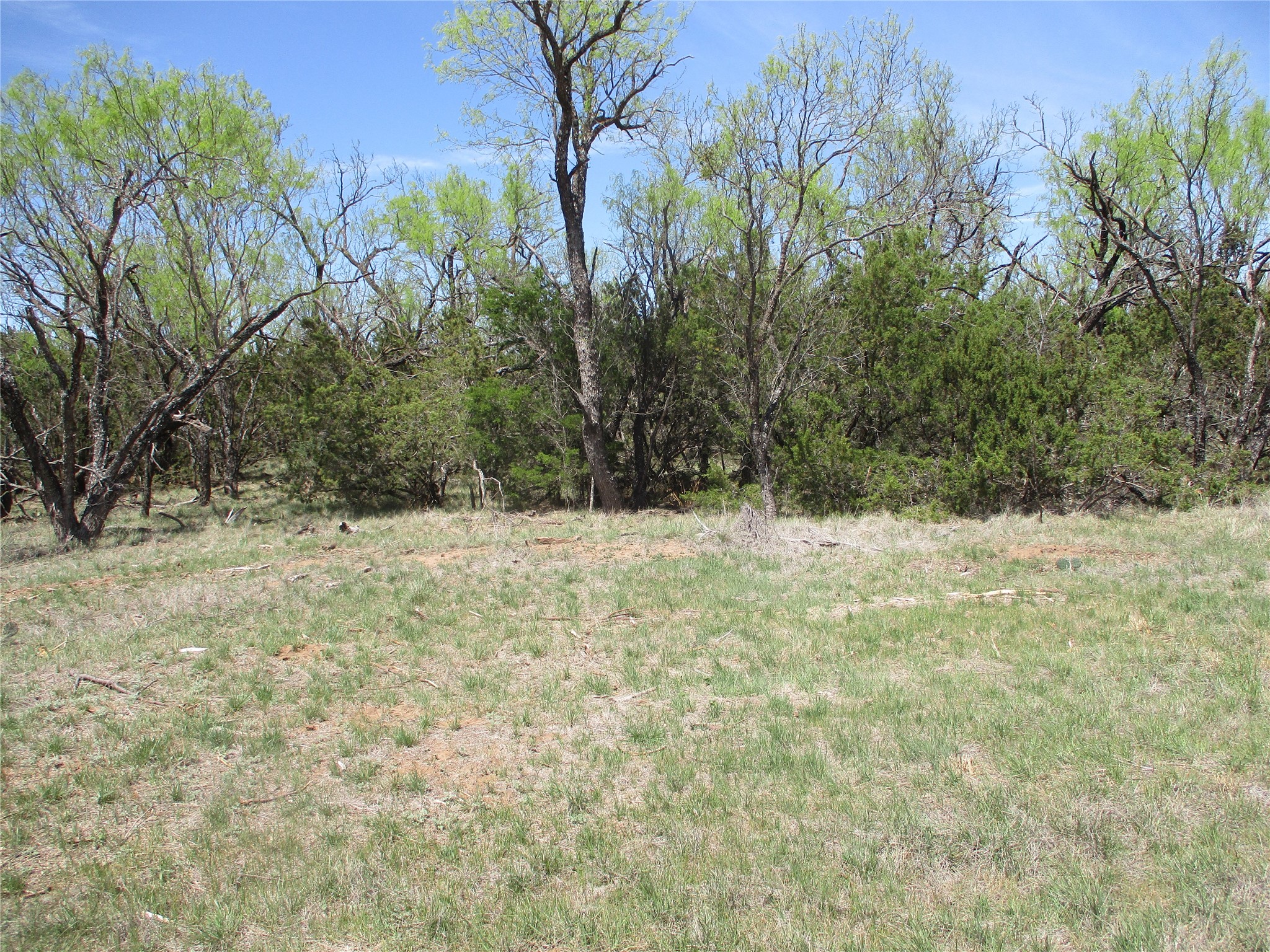 Tbd Fm 1086 Fm 1086 No City TX 75966