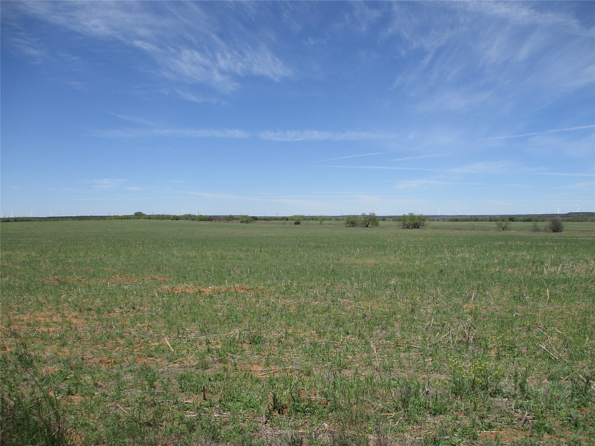Tbd Fm 1086 Fm 1086 No City TX 75966