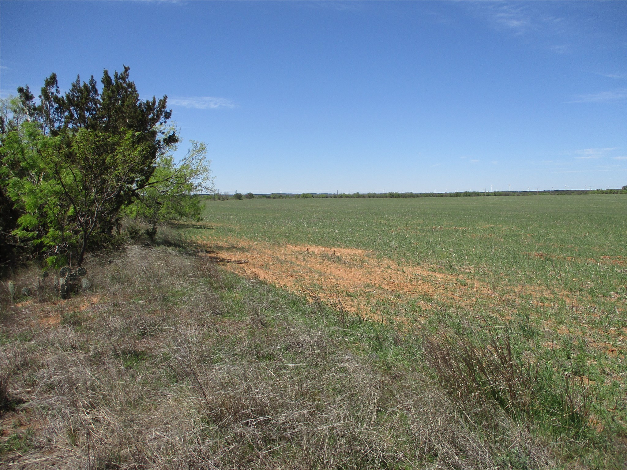 Tbd Fm 1086 Fm 1086 No City TX 75966