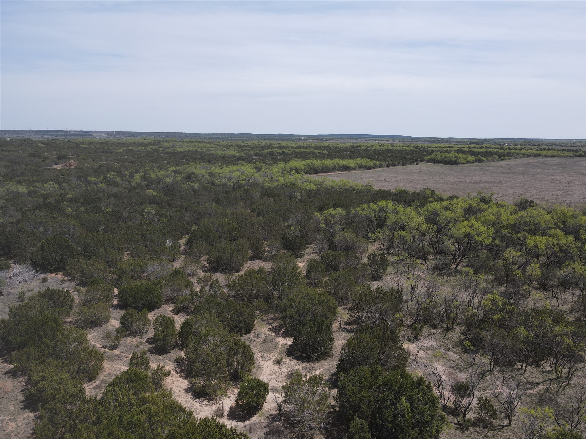 Tbd Fm 1086 Fm 1086 No City TX 75966