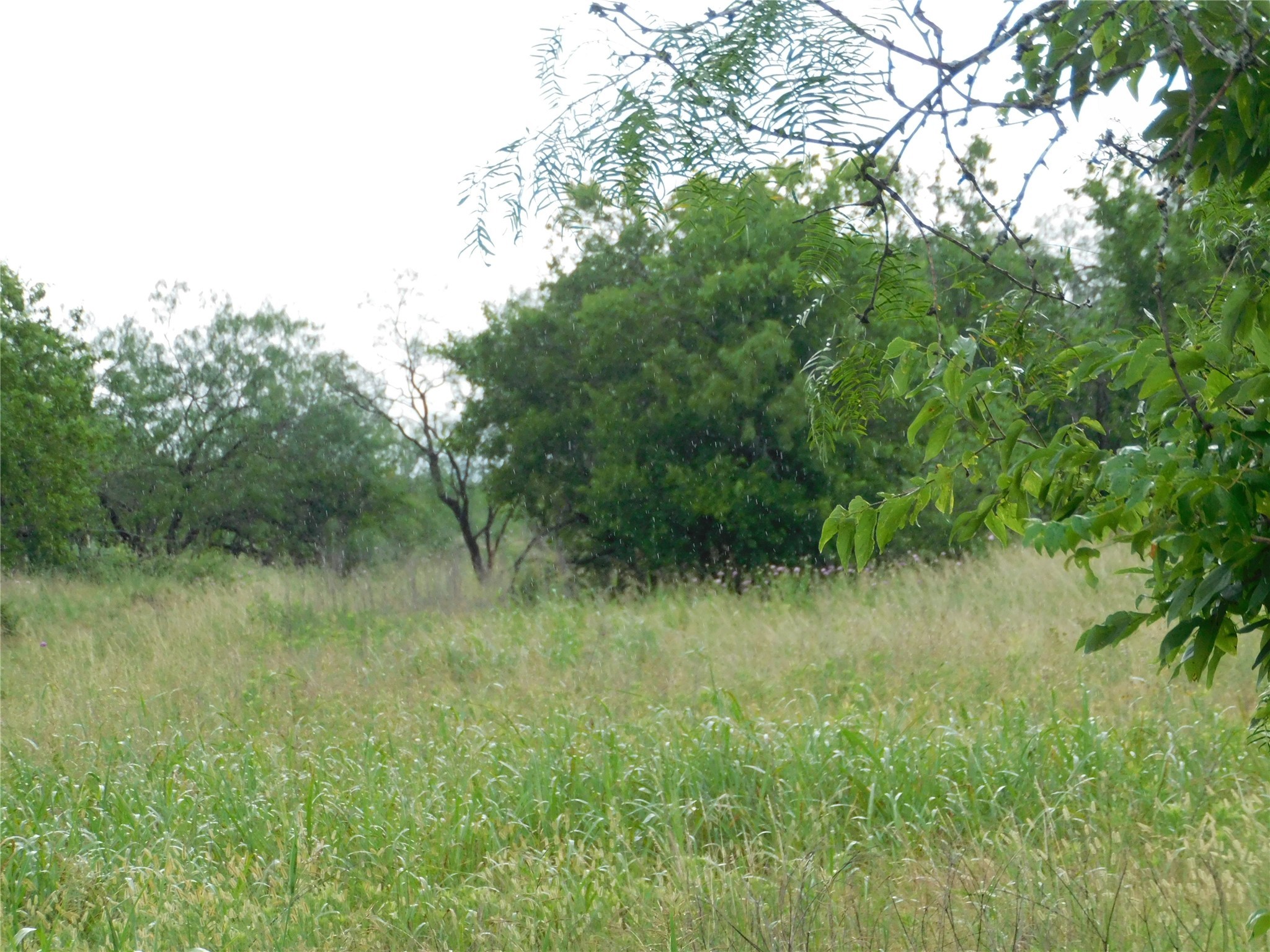 Tbd County Road 3315 Hubbard TX 76648
