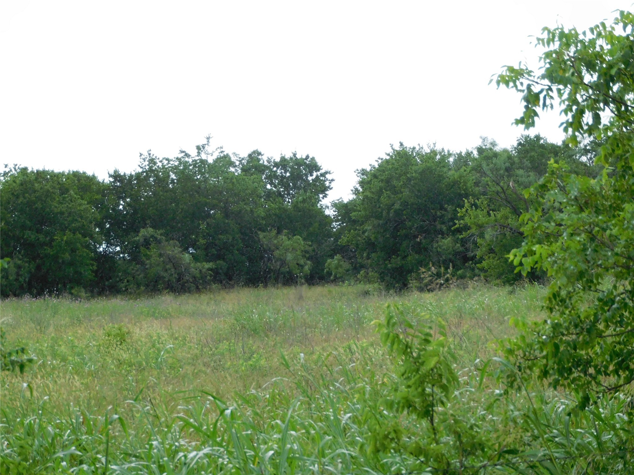 Tbd County Road 3315 Hubbard TX 76648