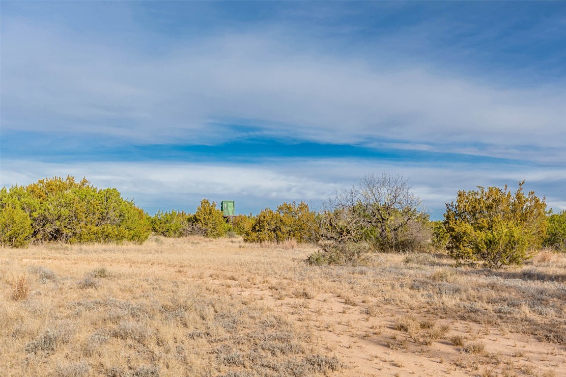 Na Cox Road Robert Lee TX 76945