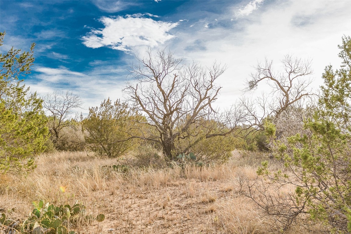 Na Cox Road Robert Lee TX 76945