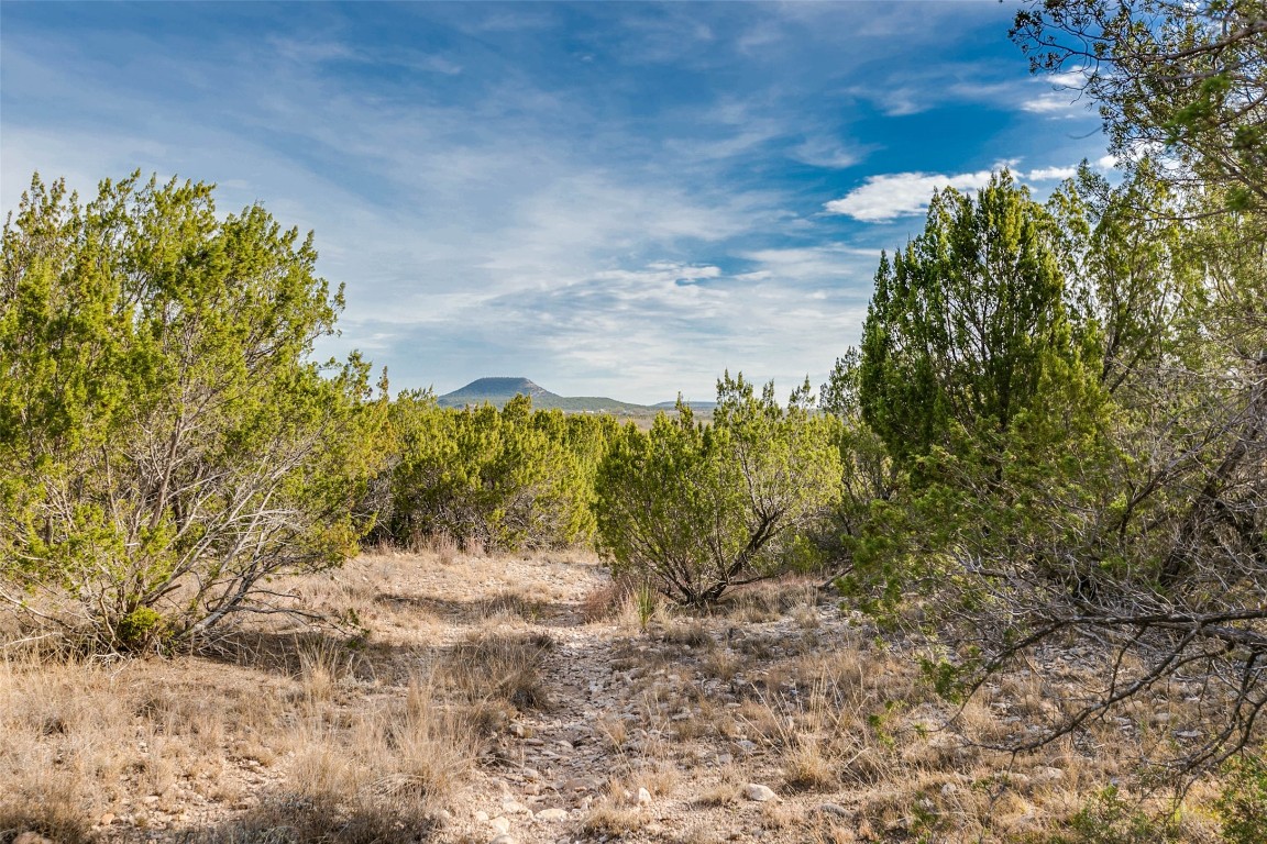 Na Cox Road Robert Lee TX 76945