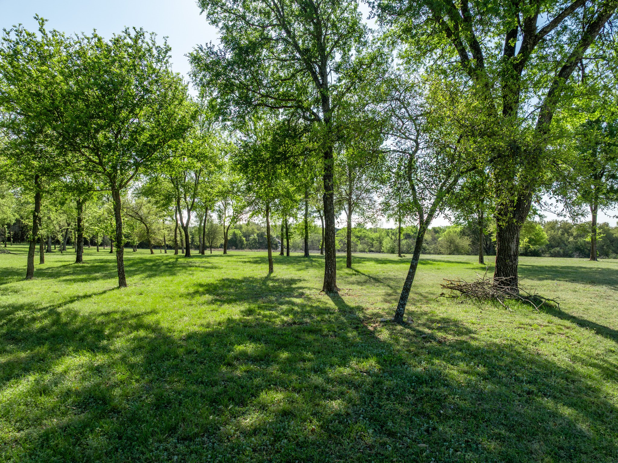 1629 White Bluff Drive Whitney TX 76692