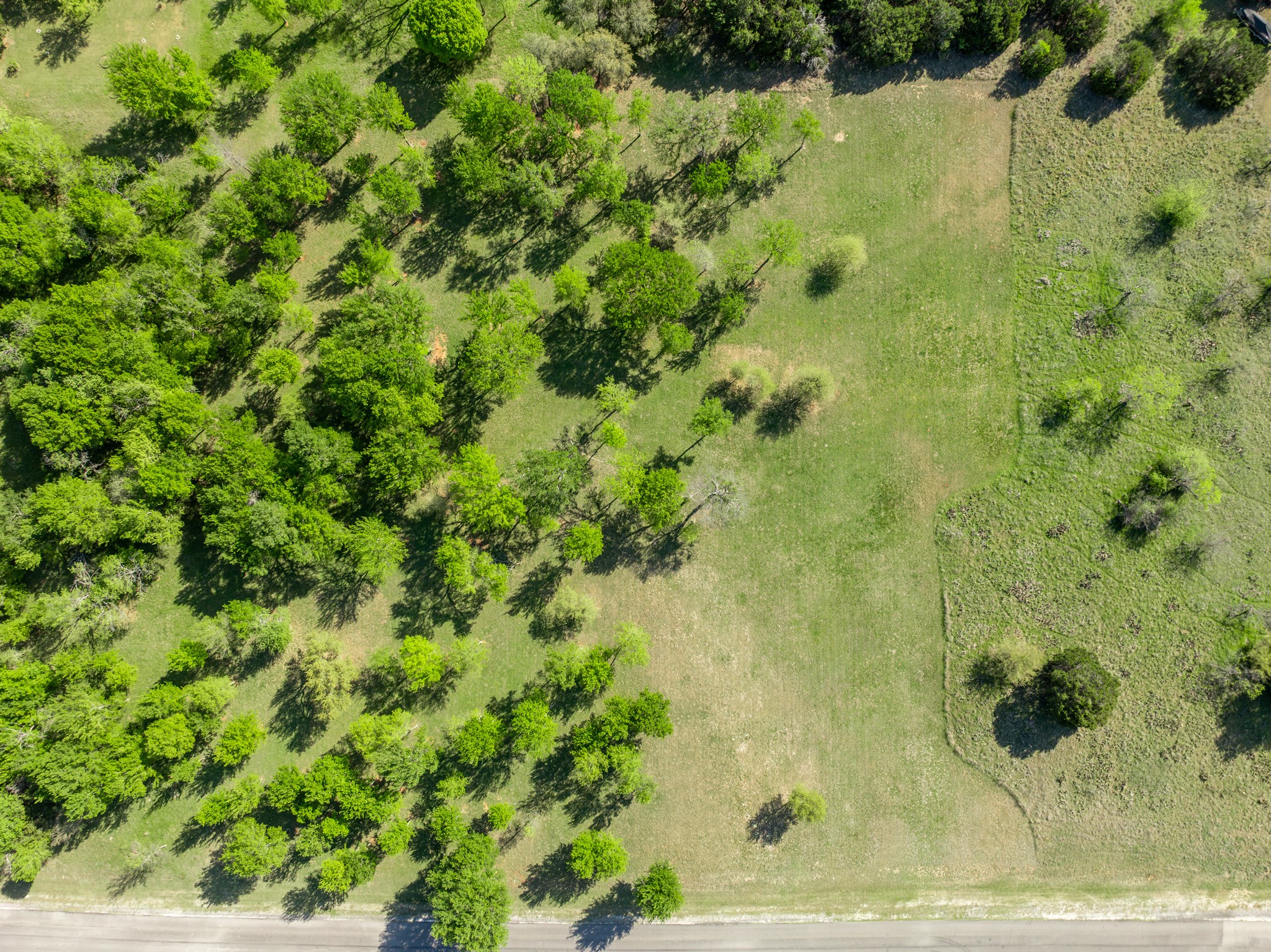 1629 White Bluff Drive Whitney TX 76692